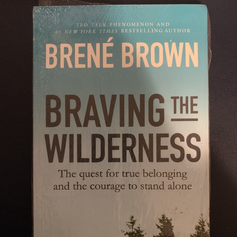 Braving the Wilderness by Brené Brown